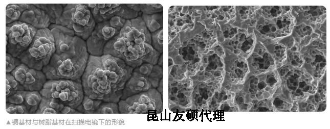 博尔塔拉蔡司博尔塔拉扫描电镜