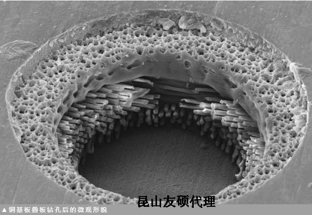 博尔塔拉蔡司博尔塔拉扫描电镜